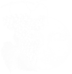 Soir d'ivresse Logo