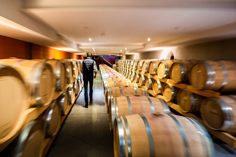 Illustration de cave à vins